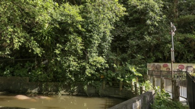 カバの池/「沖縄こどもの国」