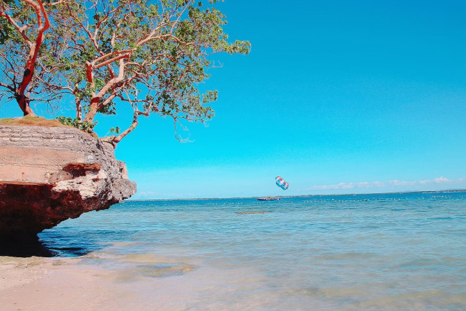 セブ島を冒険しよう！