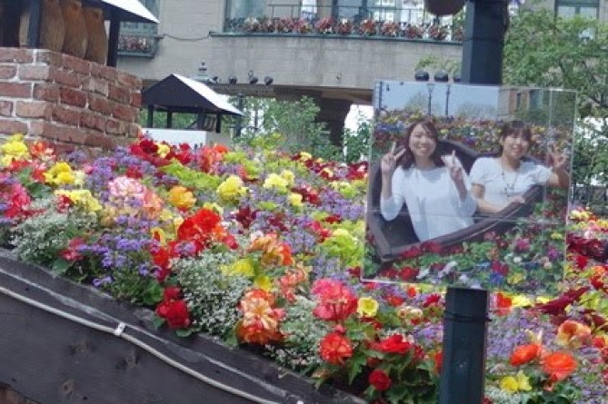 ローズガーデンのフォトスポット