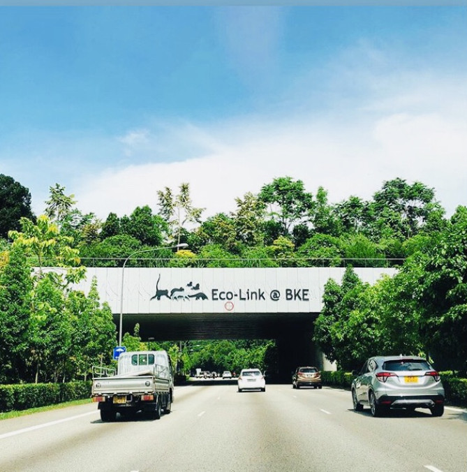 シンガポールの道路