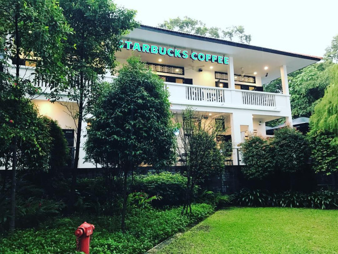 人気のロチェスターパーク店