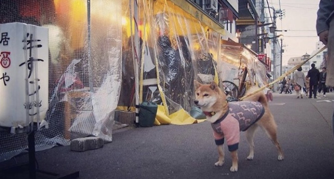 情緒あふれる観光名所のひとつ　ホッピー通り