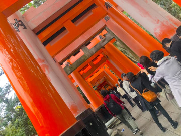 【京都】おすすめ観光スポット15選！世界遺産や名所、京都を満喫するための準備も紹介！