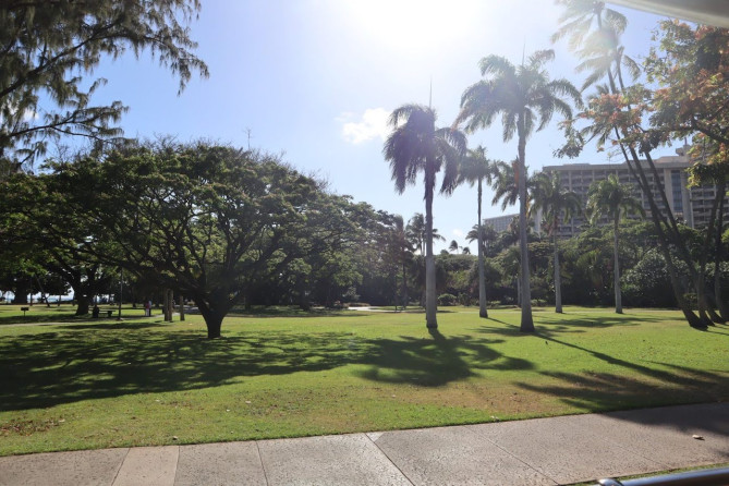 ワイキキの公園