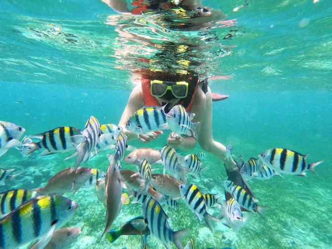 シュノーケリング