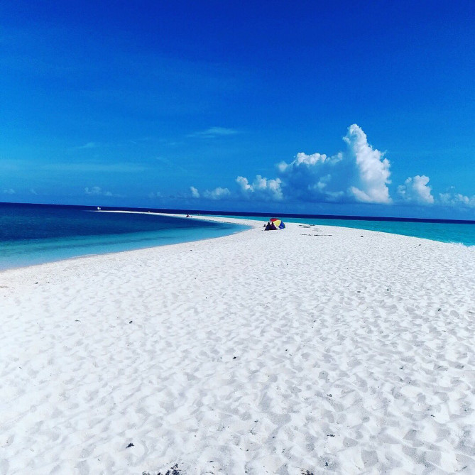 モアルボアル