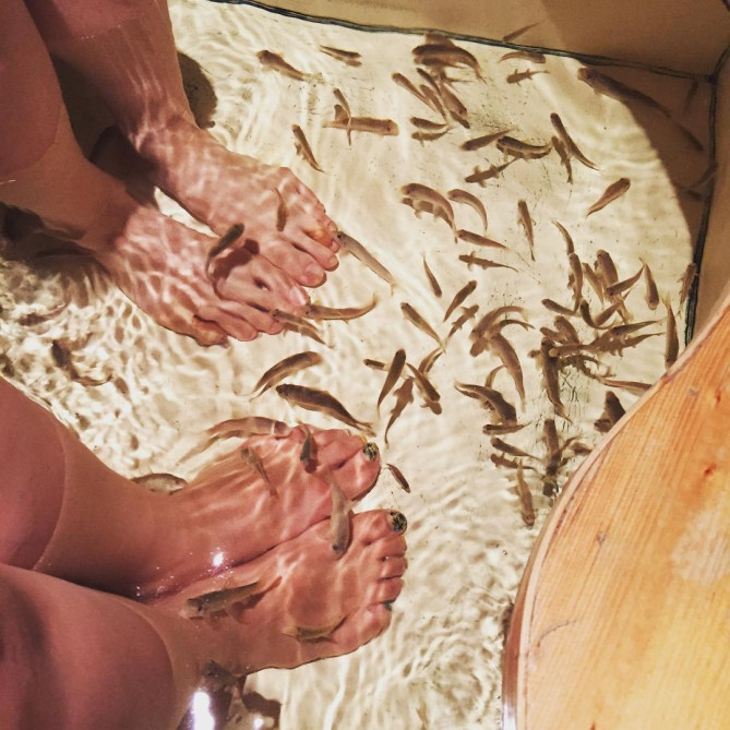 施術前にはドクターフィッシュ