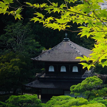 【京都】銀閣寺の魅力と拝観情報まとめ！御朱印、カフェ、アクセス、庭園などの見どころも