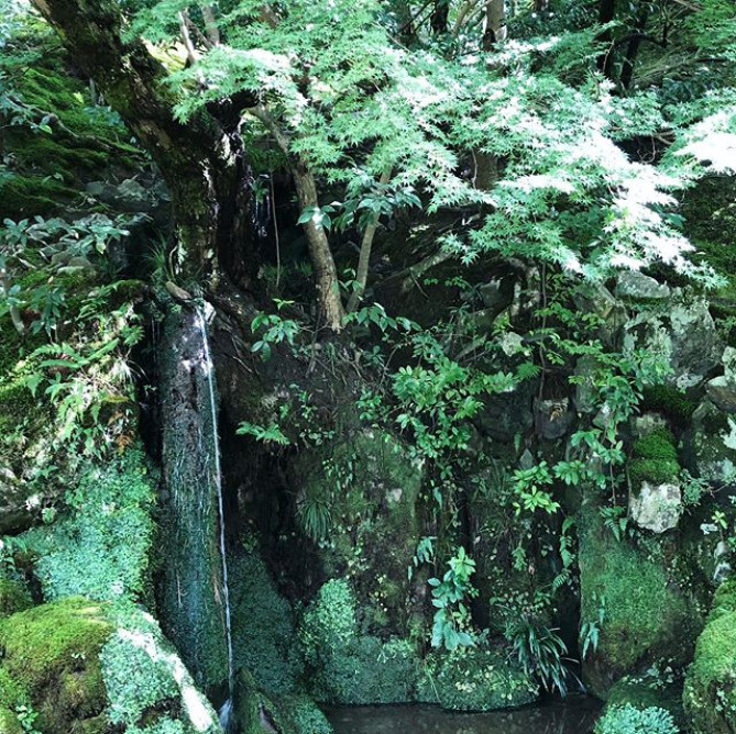 技巧の凝らされた銀閣寺の庭園