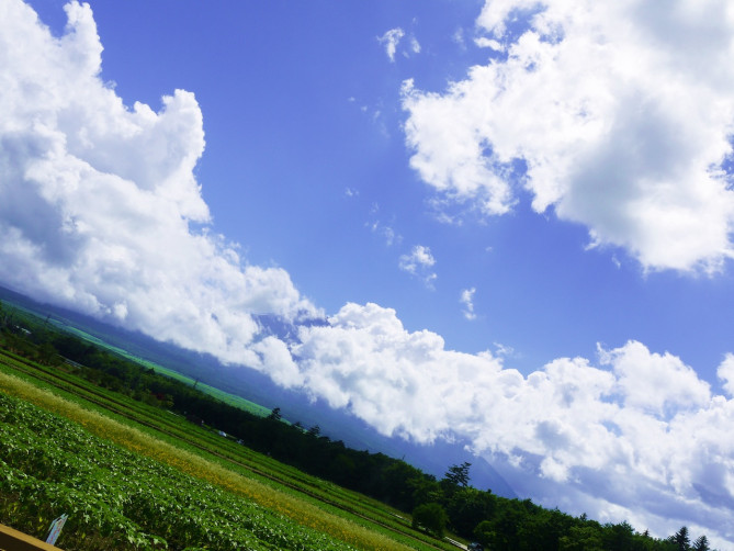 フラワーランドかみふらの