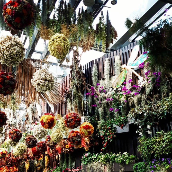 新しくオープンしたフローラルファンタジー