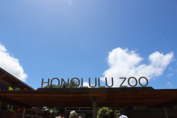 【2020】ハワイ家族旅行の体験記＆費用！家族3人×3泊5日で使ったお金や現地での過ごし方を大公開