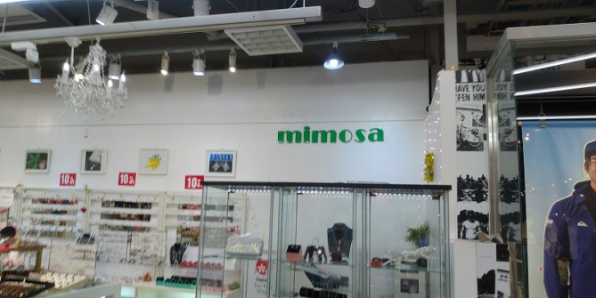 mimosa