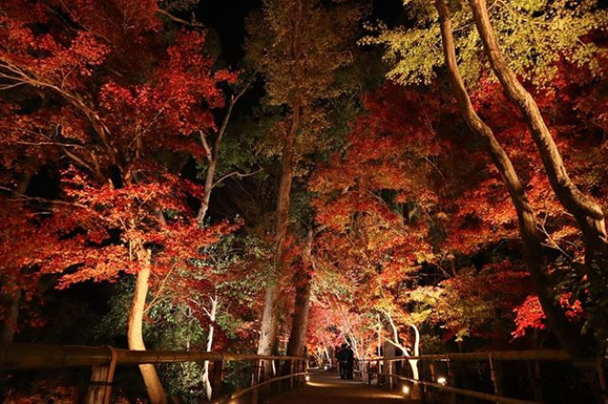 北野天満宮は景観も素晴らしいです♪