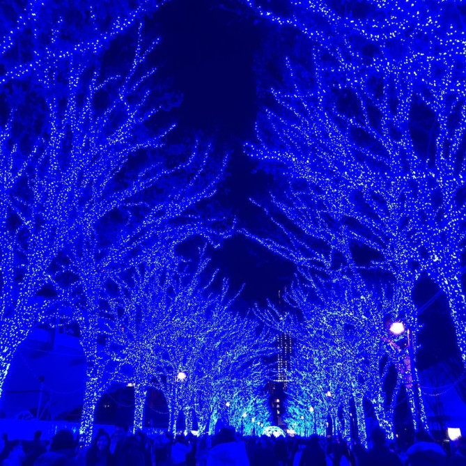 渋谷イルミネーション