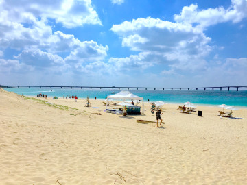 【危険】宮古島ビーチではハブクラゲに注意！安全に楽しむための6つの対策&おすすめビーチまとめ