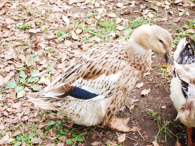 ノースサファリ サッポロ