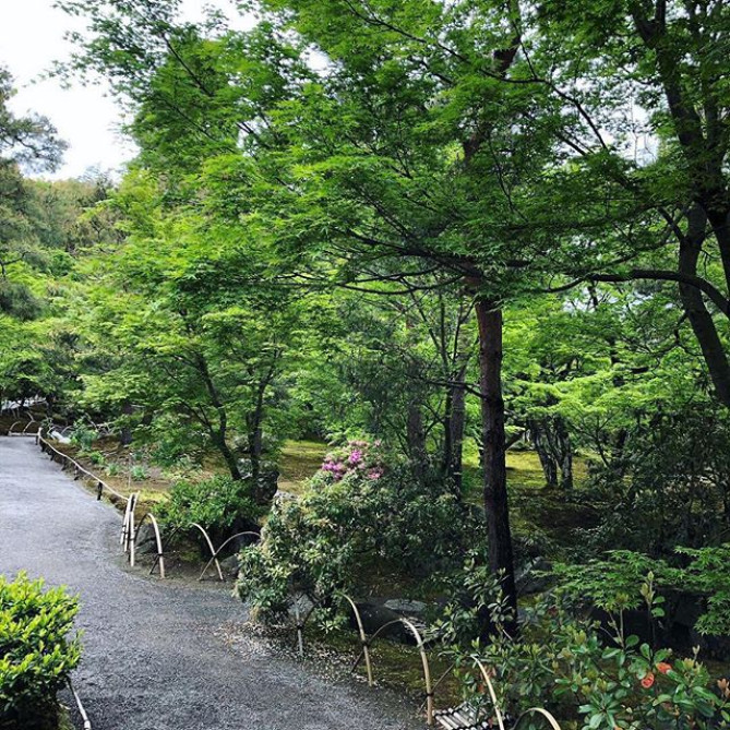 天龍寺の拝観方法とは?