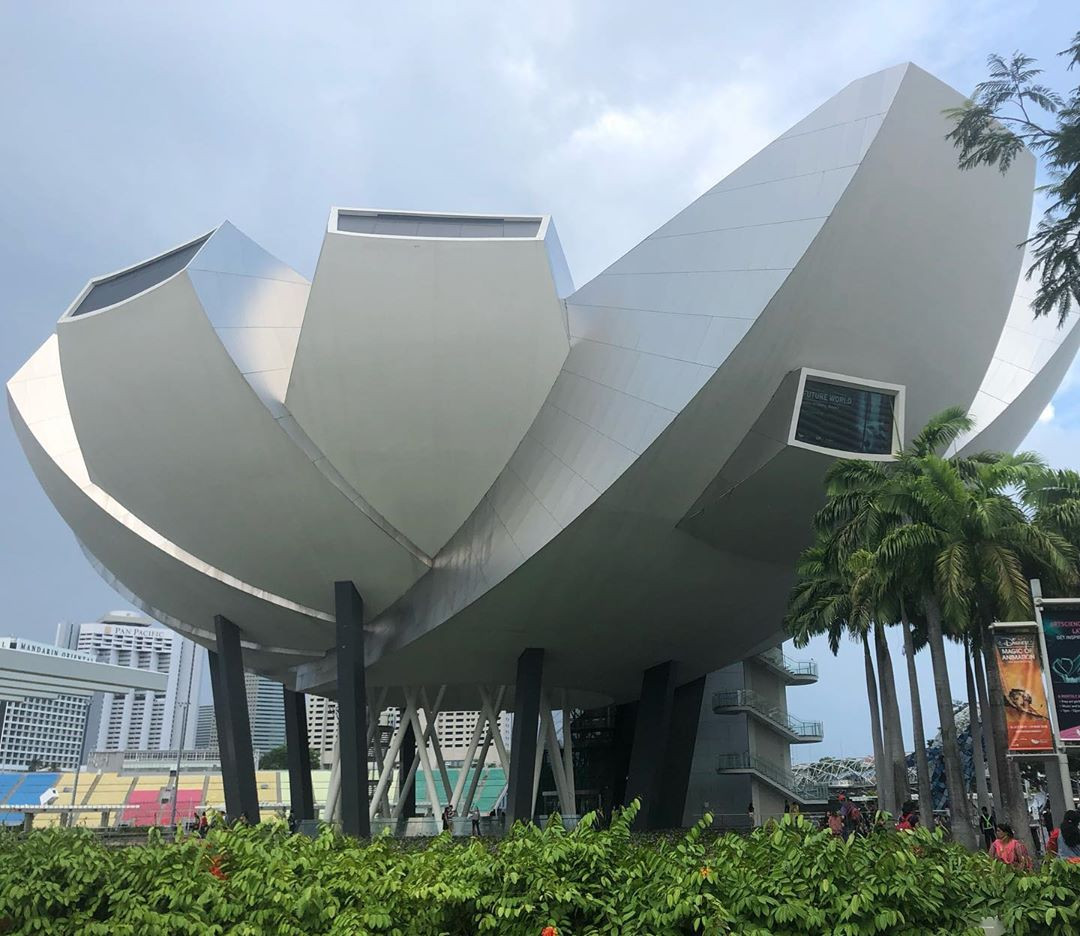 シンガポール アートサイエンスミュージアム徹底解説 チームラボが手がけたフューチャーワールドとは