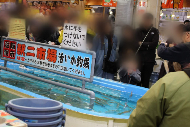 えきに市場の活きいか釣堀
