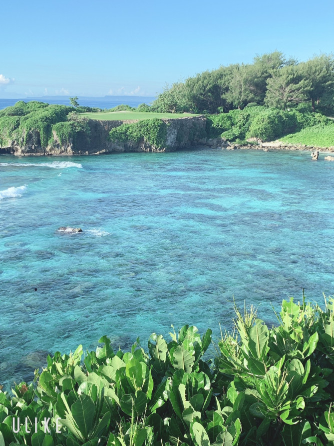 海