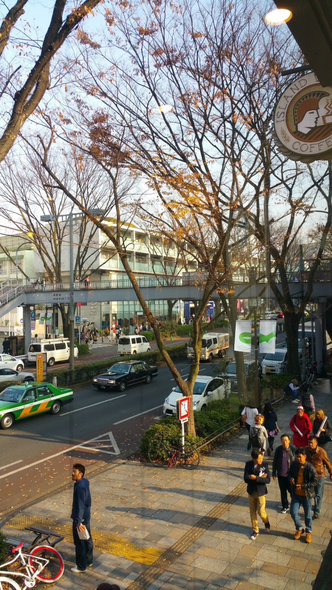 ISLAND VINTAGE COFFEEからの景色