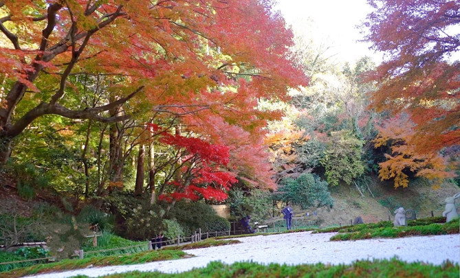 明月院のアクセス方法
