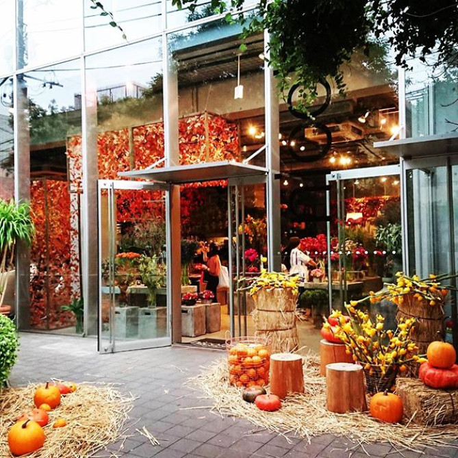 Nicolai Bergmann NOMU