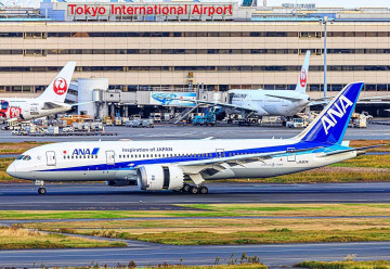 【攻略】羽田空港から台北まで運航する航空会社を徹底調査！発着時刻や飛行機の特徴まとめ