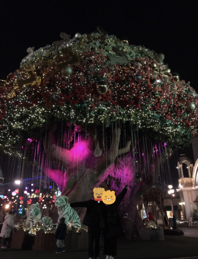 ヨーロピアンエリアの木