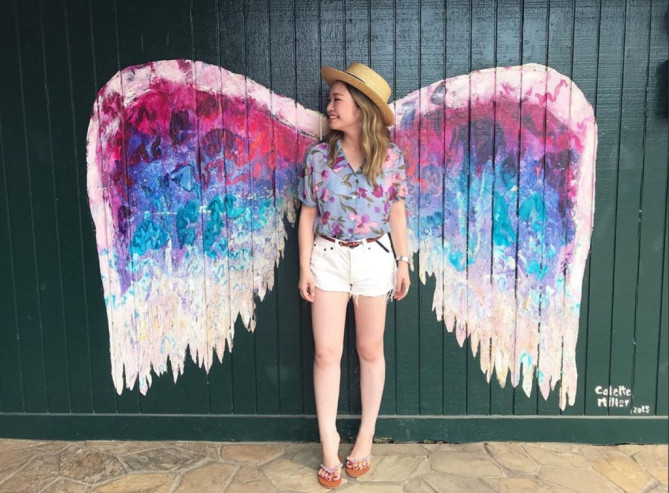 ハレイワウィングス