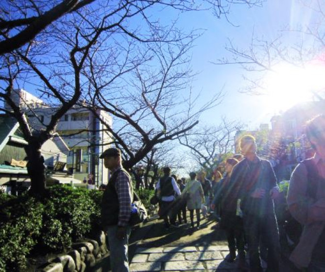 鶴岡八幡宮の参道「若宮大路」
