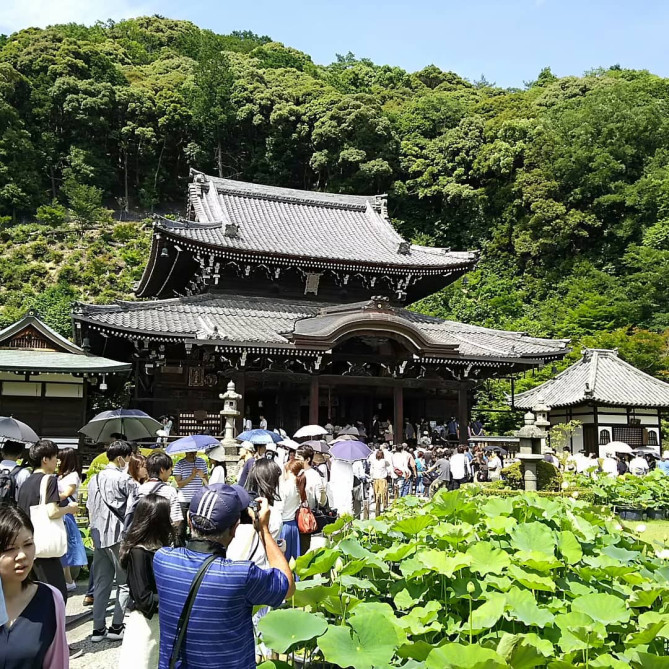 三室戸寺