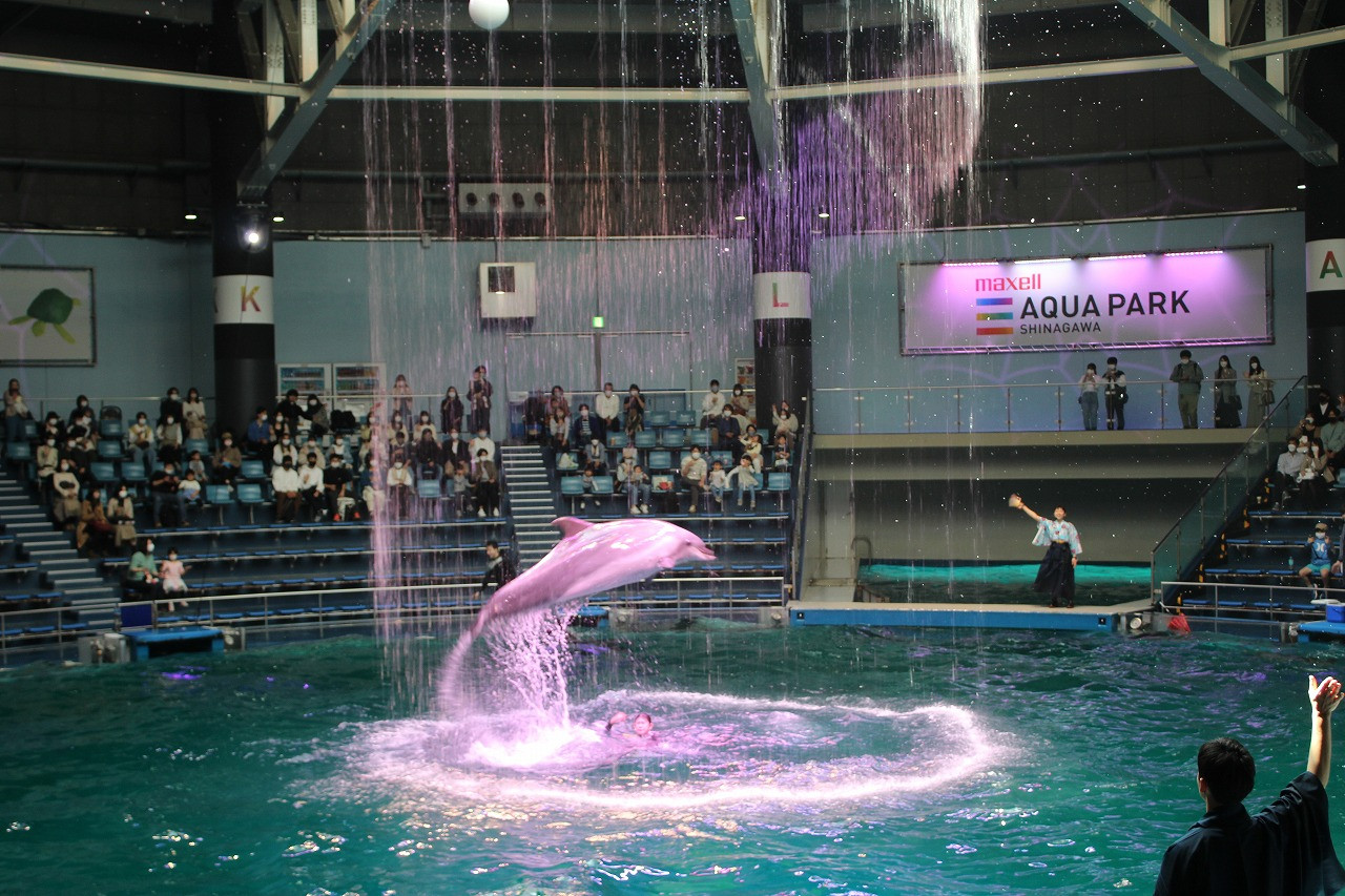 maxell-aqua-park-shinagawa-