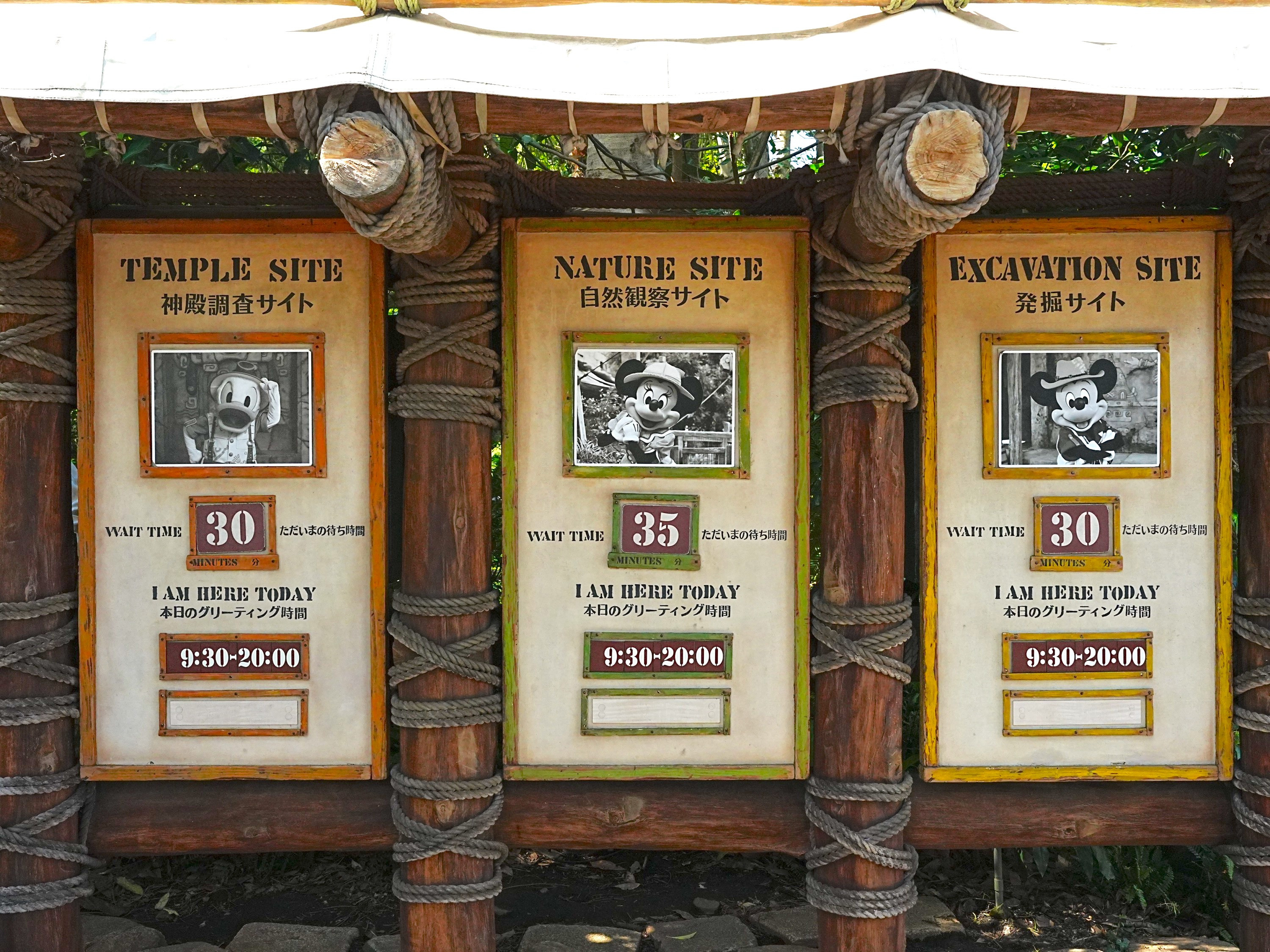 【250枚限定】 ディズニー公認「キャンペーントレイル」ミッキーと仲間たち ミッキー100周年に向けたグローバルキャンペーン「ミッキー